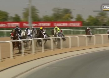 “SME” ترصد المشاركين فى سباق “دبي كحيلة كلاسيك”