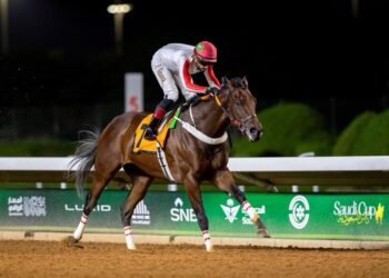 سباقات الرياض يروع بطلا للدفاع وكلاود للشرقيه وترينكت للاستخبارات