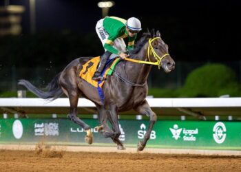 انطلاق كأسي ولي العهد لشوطي الخيل المنتجة “محليا” و “المستوردة” السبت القادم