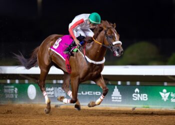 الإذاعة والتلفزيون ل “جده بيتش”ودانس ديسير تتألق بالرياضة