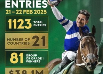 28 بطلا مرشحون للفوز بكاس السعودية الأغلى في العالم