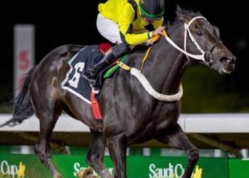 الديحاني يدخل معترك كاس السعودية بسبعة جياد