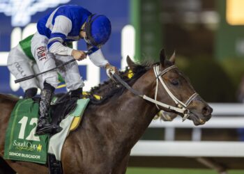 المكاسب العالمية للسباقات السعودية تتواصل  كاسا السعودية والرياض للسرعة مؤهلان للبريدرز