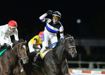 مهيدب المهيدب يصوب ثلاثة سهام أمريكية وارجنتينية على كاس ال سعود