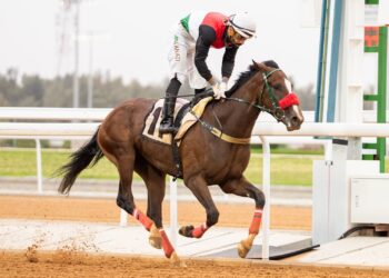 امهار السنتين في اختبار صعب على جوائز سعود بن سلمان