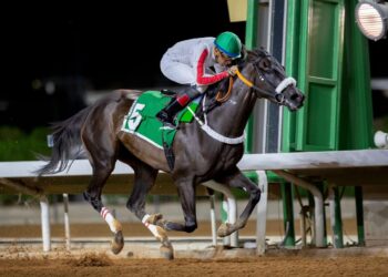 1/ الحصان الأهم  2/ الفرس عادات خيل الإنتاج السعودي تتسابق على جائزة المليون ريال