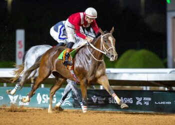 الجواد ” انهمر ” بطلاً لكأس نادي سباقات الخيل