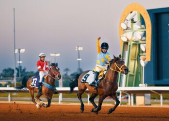 سكوت لاند يارد ينازل وايت تو اكسل بكاس نادي سباقات الخيل