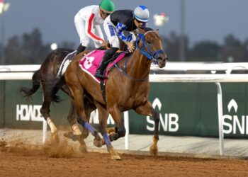 سباقات الخيل بالطائف حضور رسمي وبداية ساخنة جدا